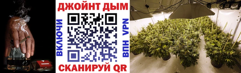 KRAKEN онион  Балей  Конопля SATIVA & INDICA 